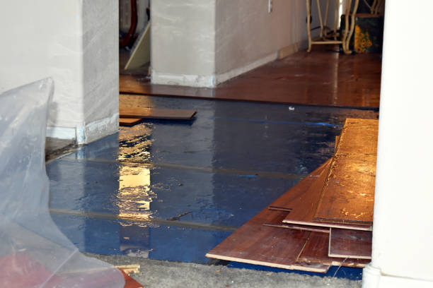 Professional Sewage Cleanup technician working in Ladonia, TX
